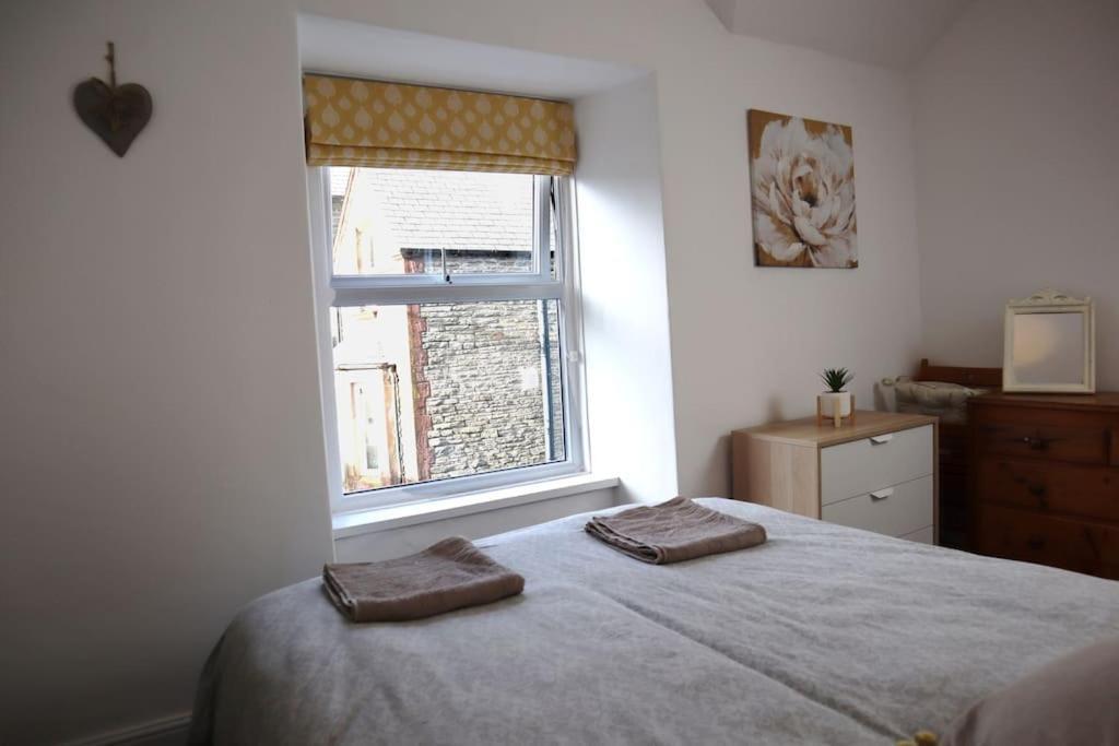 Dol Bach - Your Homely Welsh Cottage In The Heart Of Snowdonia Blaenau Ffestiniog Kültér fotó