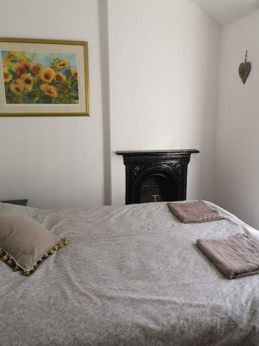 Dol Bach - Your Homely Welsh Cottage In The Heart Of Snowdonia Blaenau Ffestiniog Kültér fotó