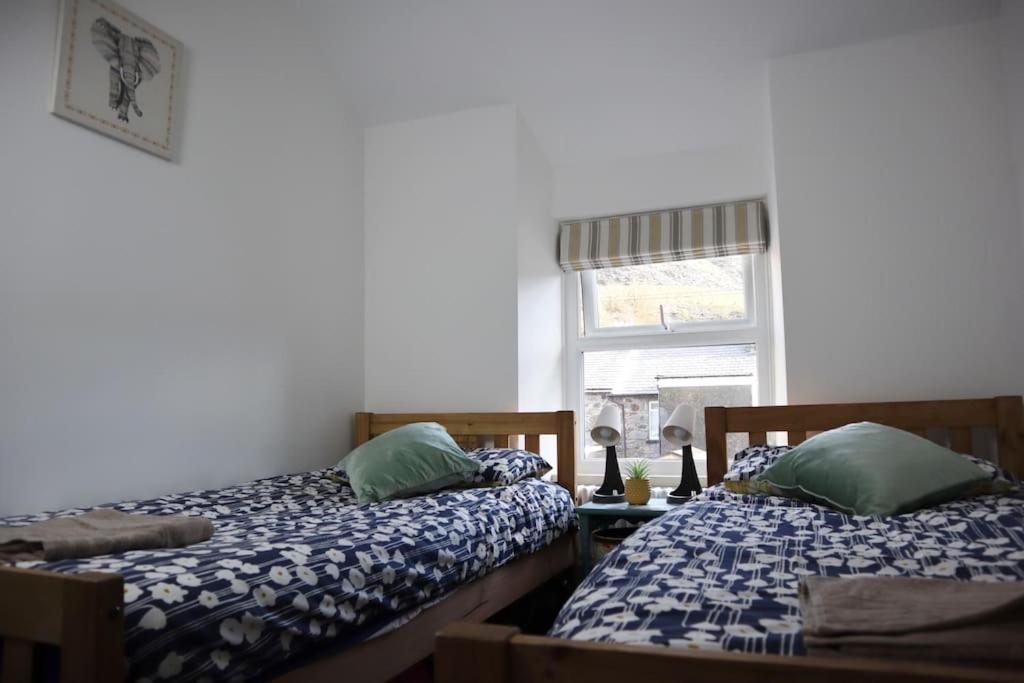Dol Bach - Your Homely Welsh Cottage In The Heart Of Snowdonia Blaenau Ffestiniog Kültér fotó
