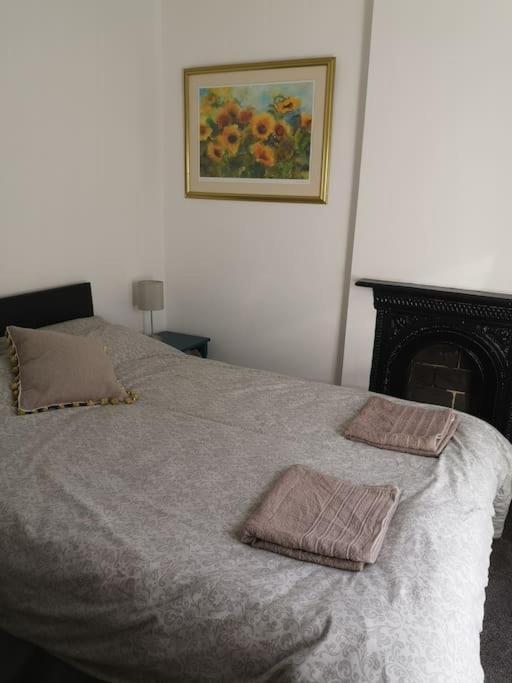 Dol Bach - Your Homely Welsh Cottage In The Heart Of Snowdonia Blaenau Ffestiniog Kültér fotó